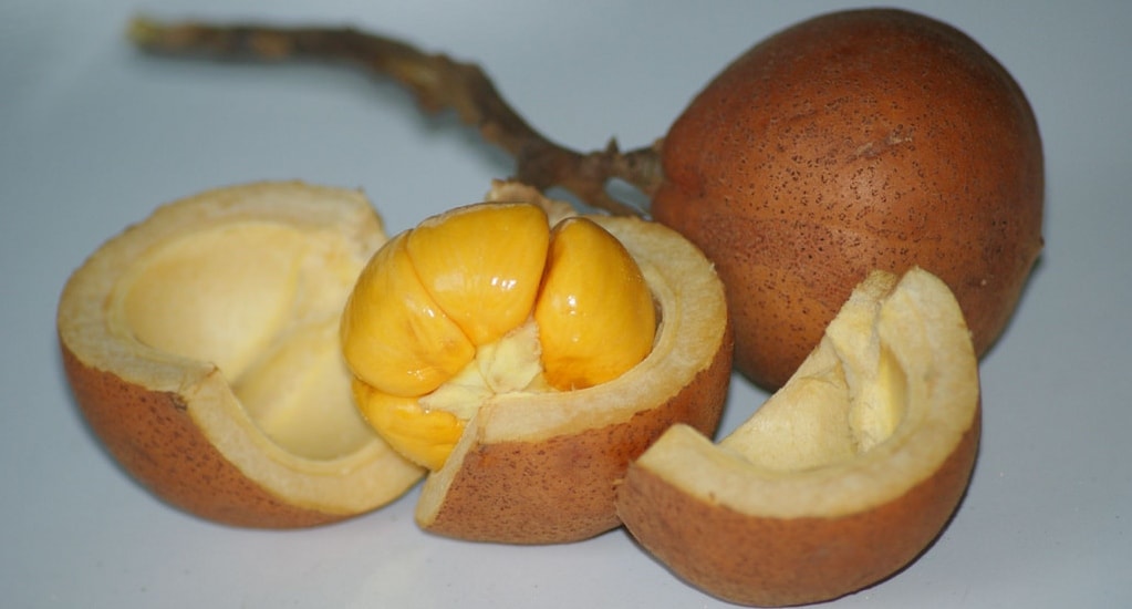 Asam Manis Si Buah Tampui
