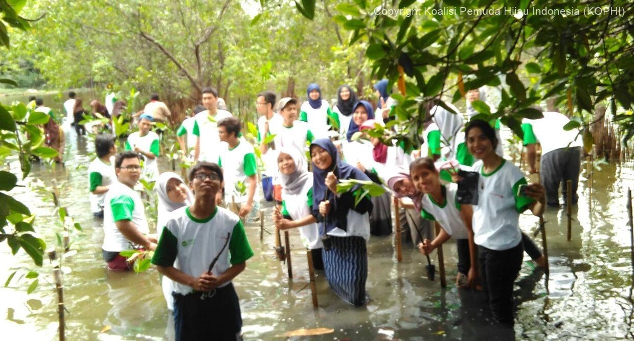 KOPHI Tanam 1000 Mangrove di Jakarta