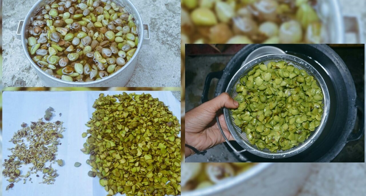 Mengolah Avicenia si Api – Api, Memanfaatkan Mangrove untuk Ekonomi