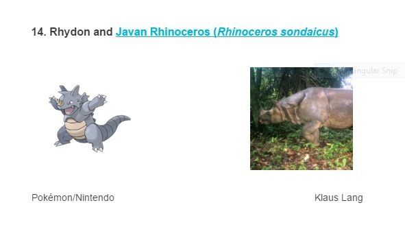 Jenis-Jenis Pokemon yang Terinspirasi dari Hewan Langka
