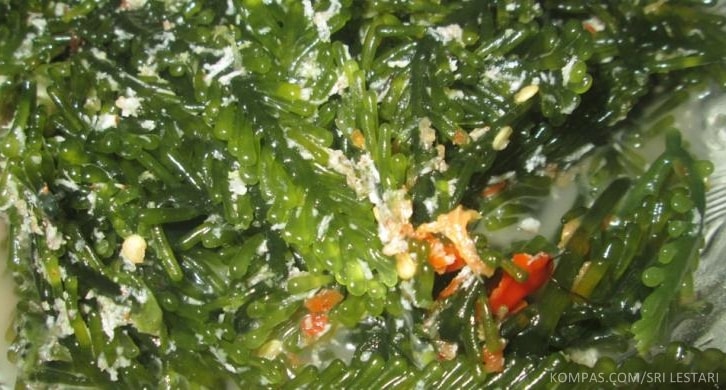 Caulerpa, Bahan Rujak Rumput Laut Khas Bali