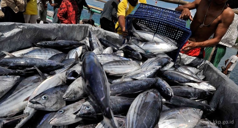 Kesehatan Laut Menurun, Indonesia Kekurangan Hasil Laut di 2050