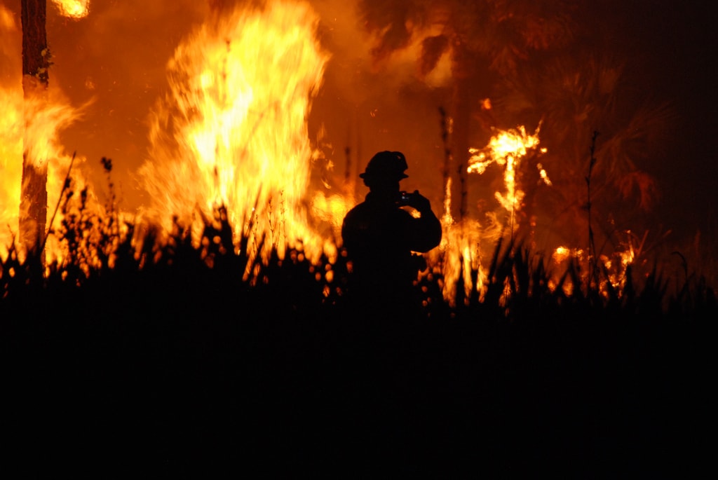 Kebakaran Hutan 2015 Berdampak pada 69 Juta Orang