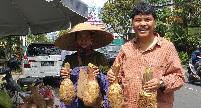 Omzet Menggoda dari Tanam Talas Safira