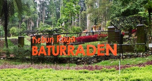 Baturraden, 11 Gunung di Jawa dalam satu Kebun Raya