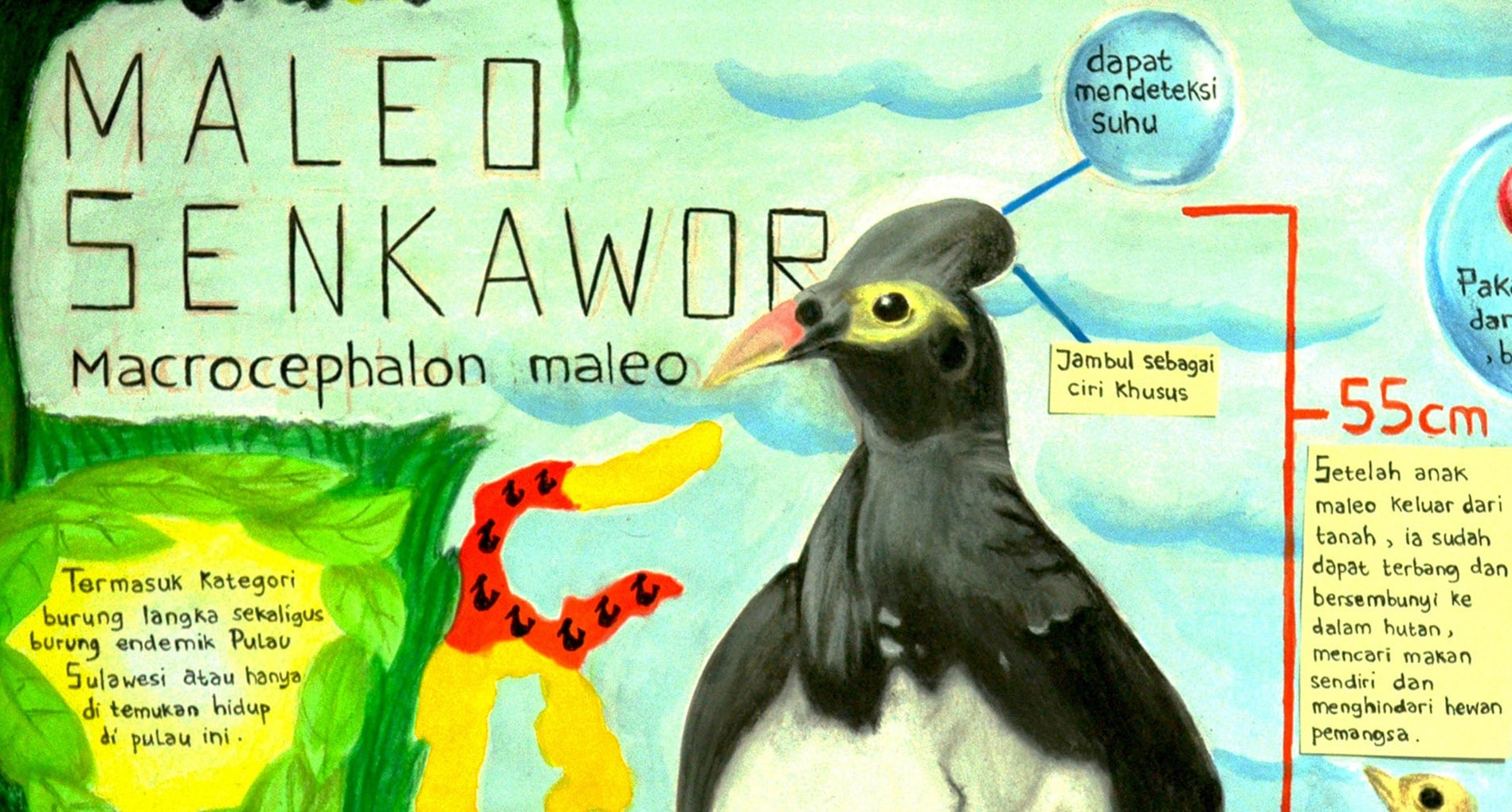 Maleo Masuk Rencana Strategis Konservasi Spesies Nasional