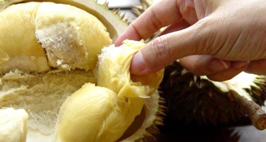 Senyawa Belerang Volatil Penyebab Bau Buah Durian