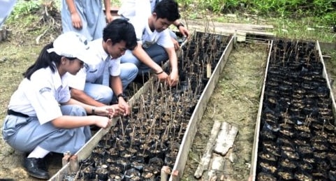 Merawat Tradisi Pewarna Alam Suku Dayak