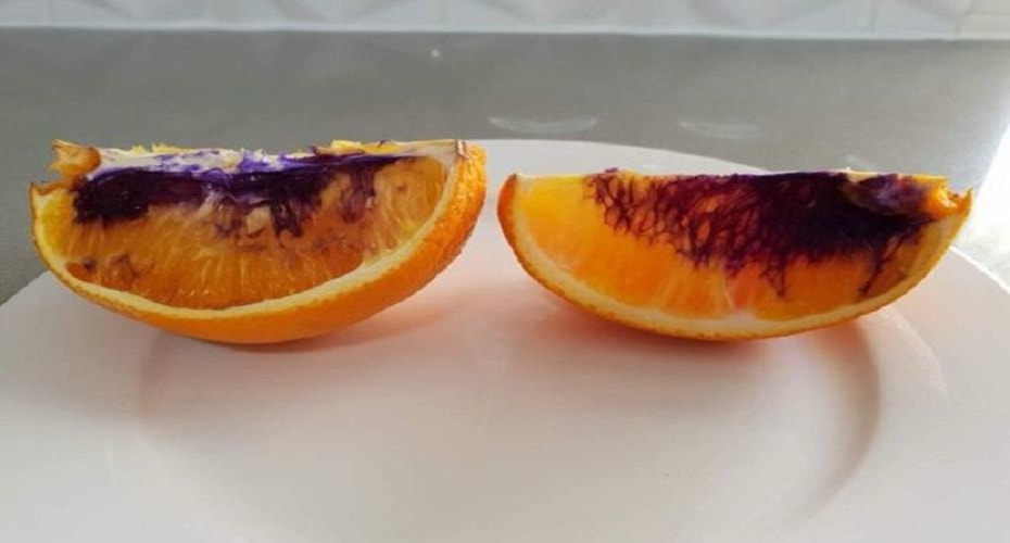 Perubahan Warna Pada Jeruk