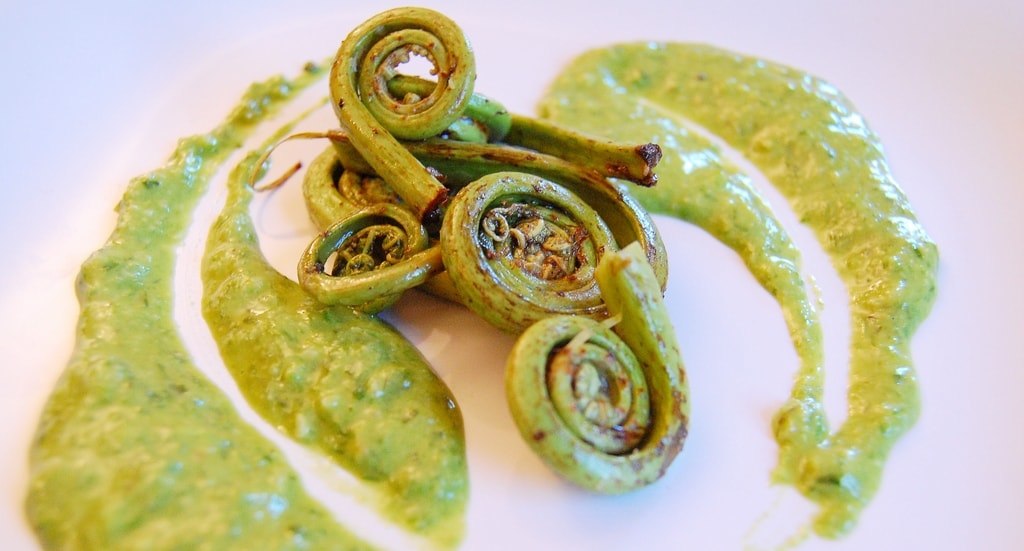 Resep Pakis Sedap dan Sehat