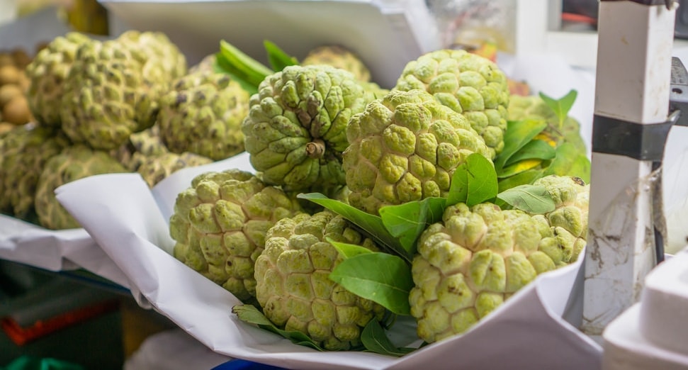 Buah Srikaya Bukan Selai Srikaya