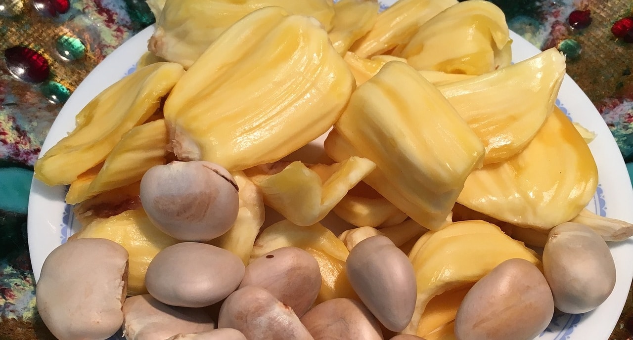 Camilan Sehat dan Enak Si Biji Nangka