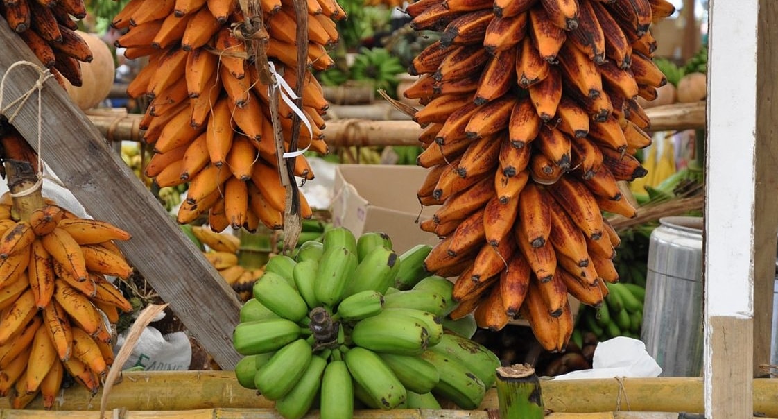 Pisang Langit dari Maluku