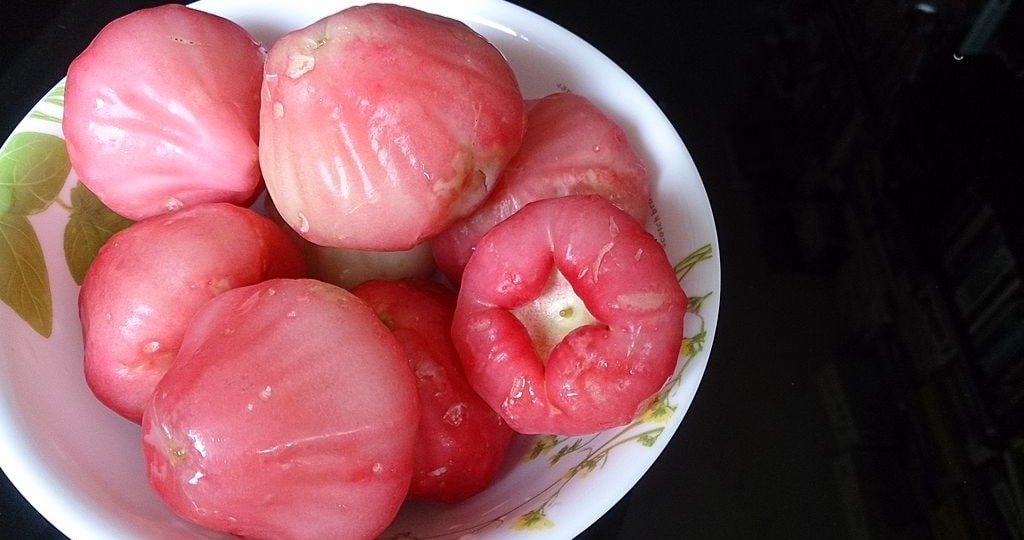 Jambu Bol Manis, Kerabat Jambu Air
