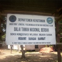 Taman Nasional Berbak