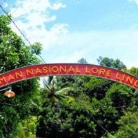 Taman Nasional Lore Lindu