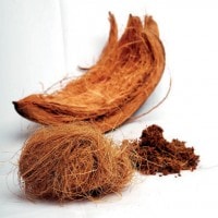 HIDROLISIS ENZIMATIS LIMBAH SABUT KELAPA SEBAGAI BIOETANOL