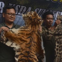Kejahatan Terhadap Satwa