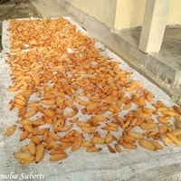 Asma Sunti, bumbu dapur khas Aceh