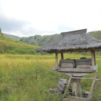Bhaku, Rumah Kecil Tempat Menyimpan Tulang Leluhur