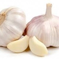 Bawang Putih Untuk Kesehatan Ginjal