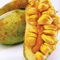 Manfaat Buah Cempedak