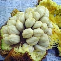 Buah Manis yang Berkhasiat