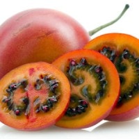 Buah terung belanda