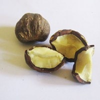 kemiri(anuek kirauo)