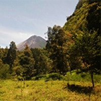 Hutan Turgo