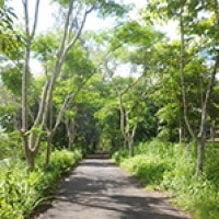 Taman Hutan Raya Bunder Gunung Kidul