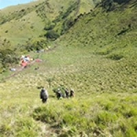 Sabana Merbabu