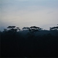 Hutan Kedung Loteng Purworejo