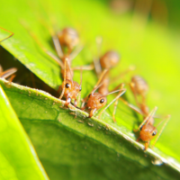 Makan Bersama. Foto Oleh M. Irwin Nurhasnan
