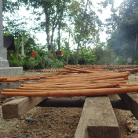 Kayu Manis