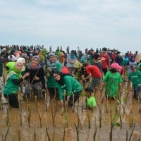 Platform Konservasi Lingkungan itu Bernama LindungiHutan