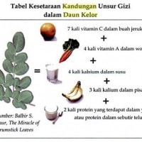 manfaat daun kelor