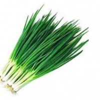 Daun Bawang