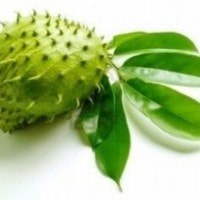 Daun Sirsak (Membasmi Diabetes)