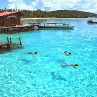 Pulau Derawan, Surga Bawah Laut Borneo