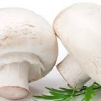 Jamur Champigno