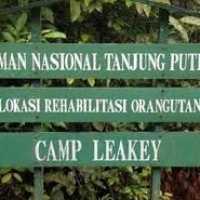 Taman Nasional Tanjung Puting