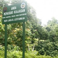 Taman Nasional Bogani Nani Wartabone