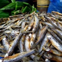 Ikan Depik