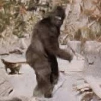 Bigfoot,Yeti,Yeren, Yowie