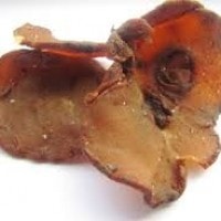 Asam gelugur