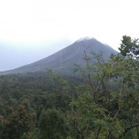 Analisis Vegetasi Tegakan di Lereng Tenggara Merapi Jalur Pendakian Sapuangin Tahun 2017