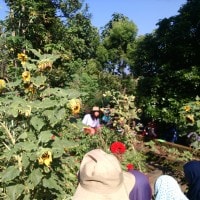 AGRICULTURE (Yang diolah tanahnya bukan tumbuhannya)