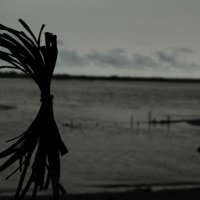 Di Sudut Pantai Trisik