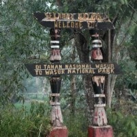 Taman Nasional Wasur